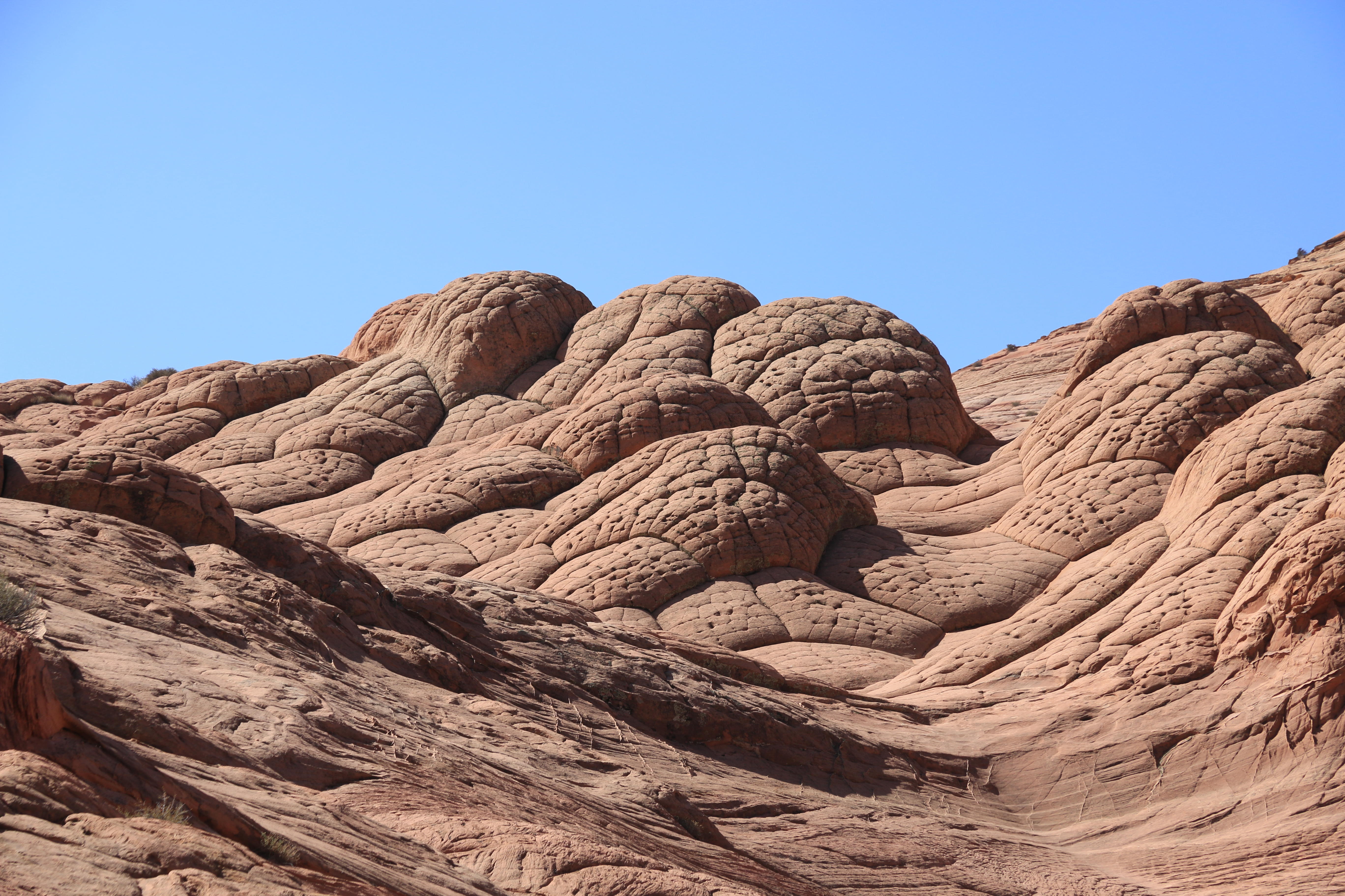 Vermillion Cliffs NM